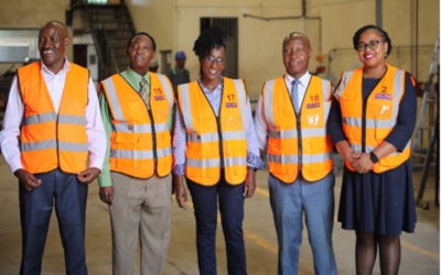 Conquering Africa, One Incinerator at a Time